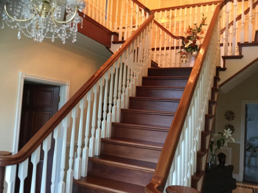 אבריסטוויט Plas Y Dderwen Bed And Breakfast מראה חיצוני תמונה