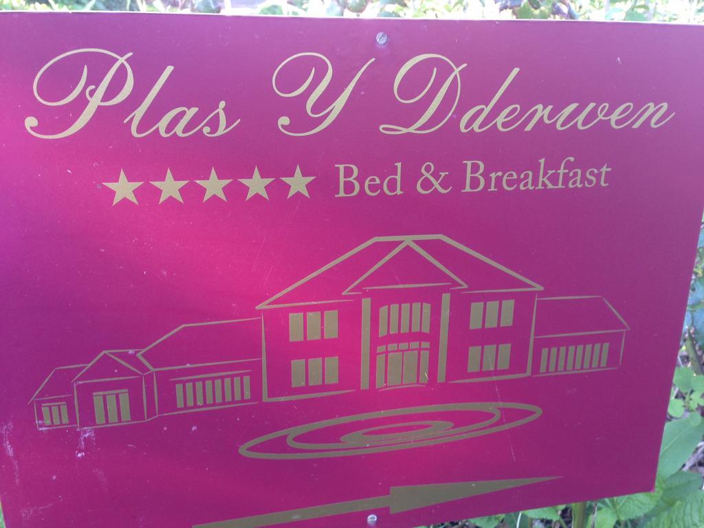 אבריסטוויט Plas Y Dderwen Bed And Breakfast מראה חיצוני תמונה